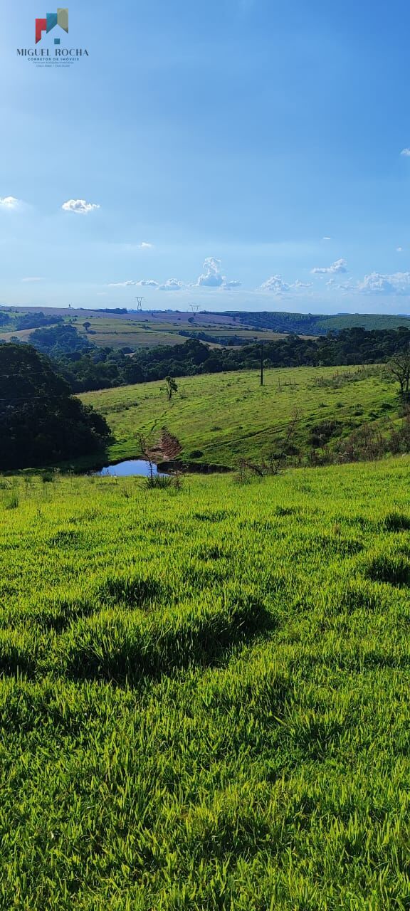 Fazenda à venda com 2 quartos, 121000m² - Foto 9