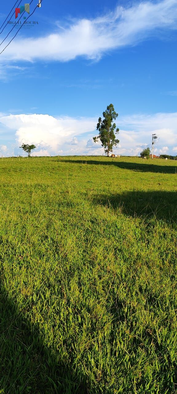 Fazenda à venda com 2 quartos, 121000m² - Foto 19