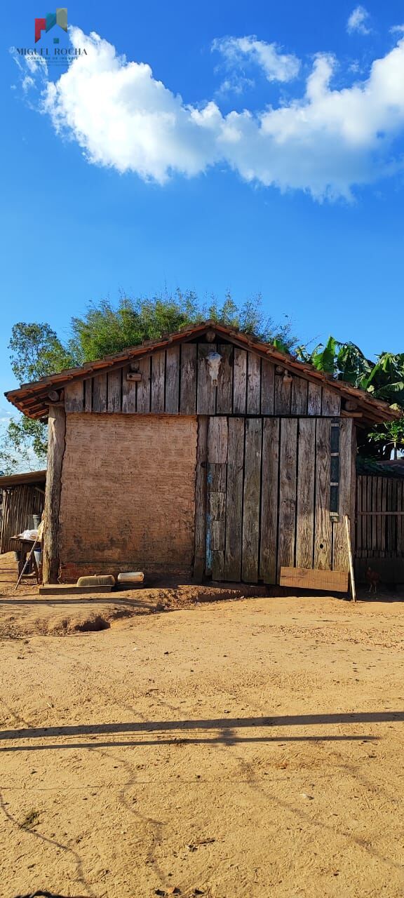 Fazenda à venda com 2 quartos, 121000m² - Foto 6