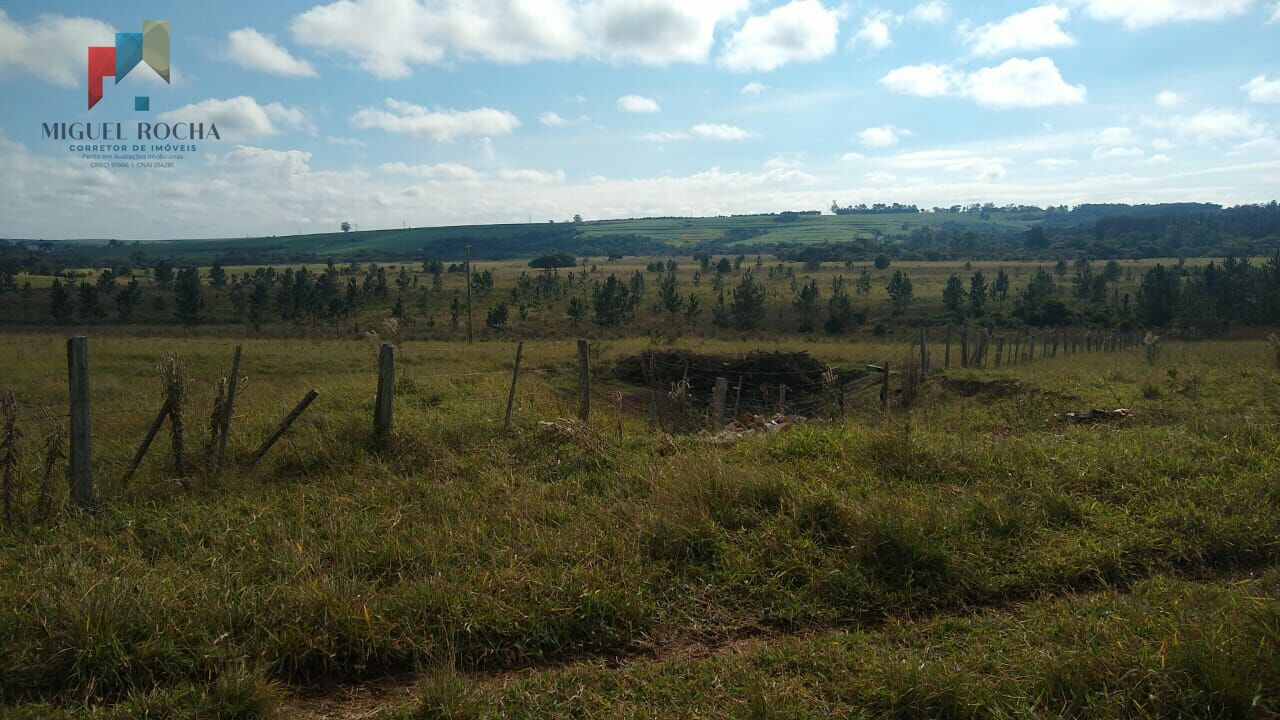 Fazenda à venda com 2 quartos, 1331000m² - Foto 5