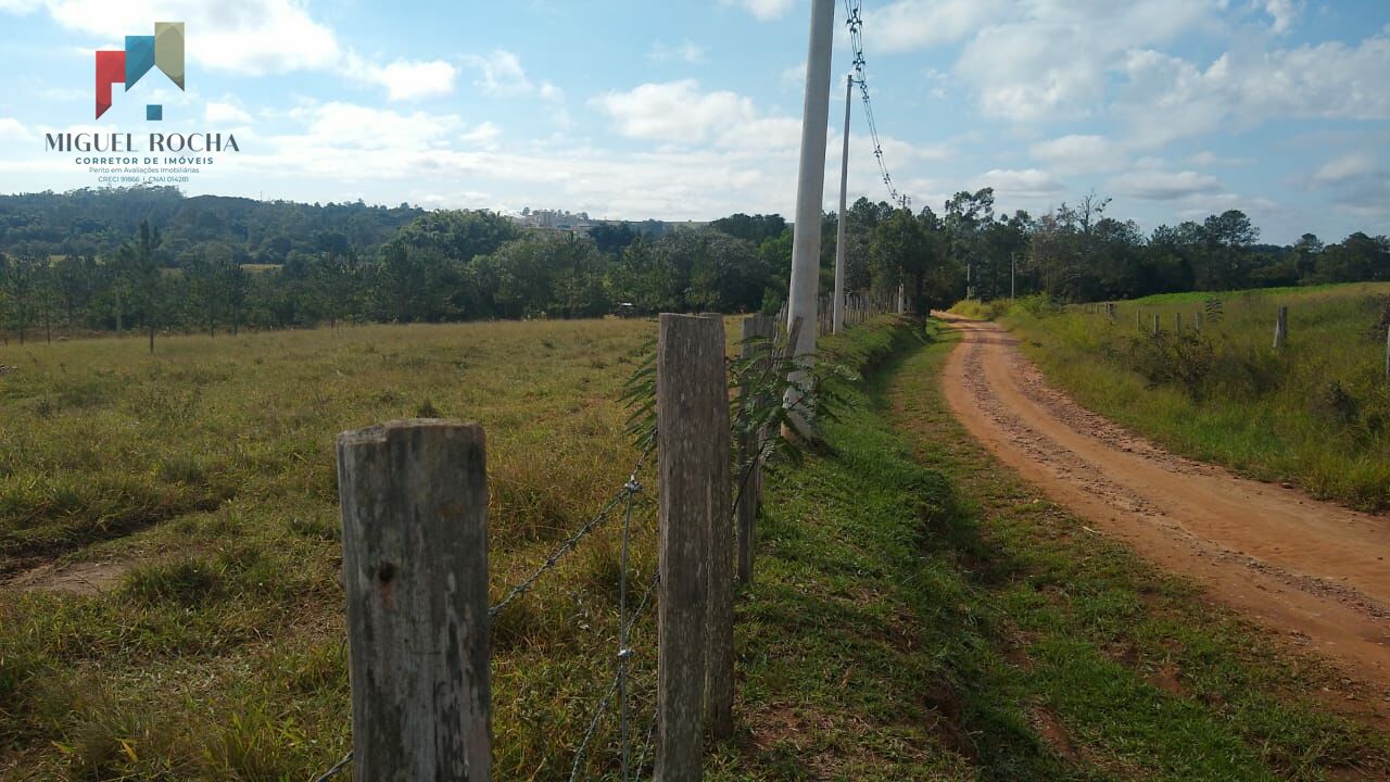 Fazenda à venda com 2 quartos, 1331000m² - Foto 3