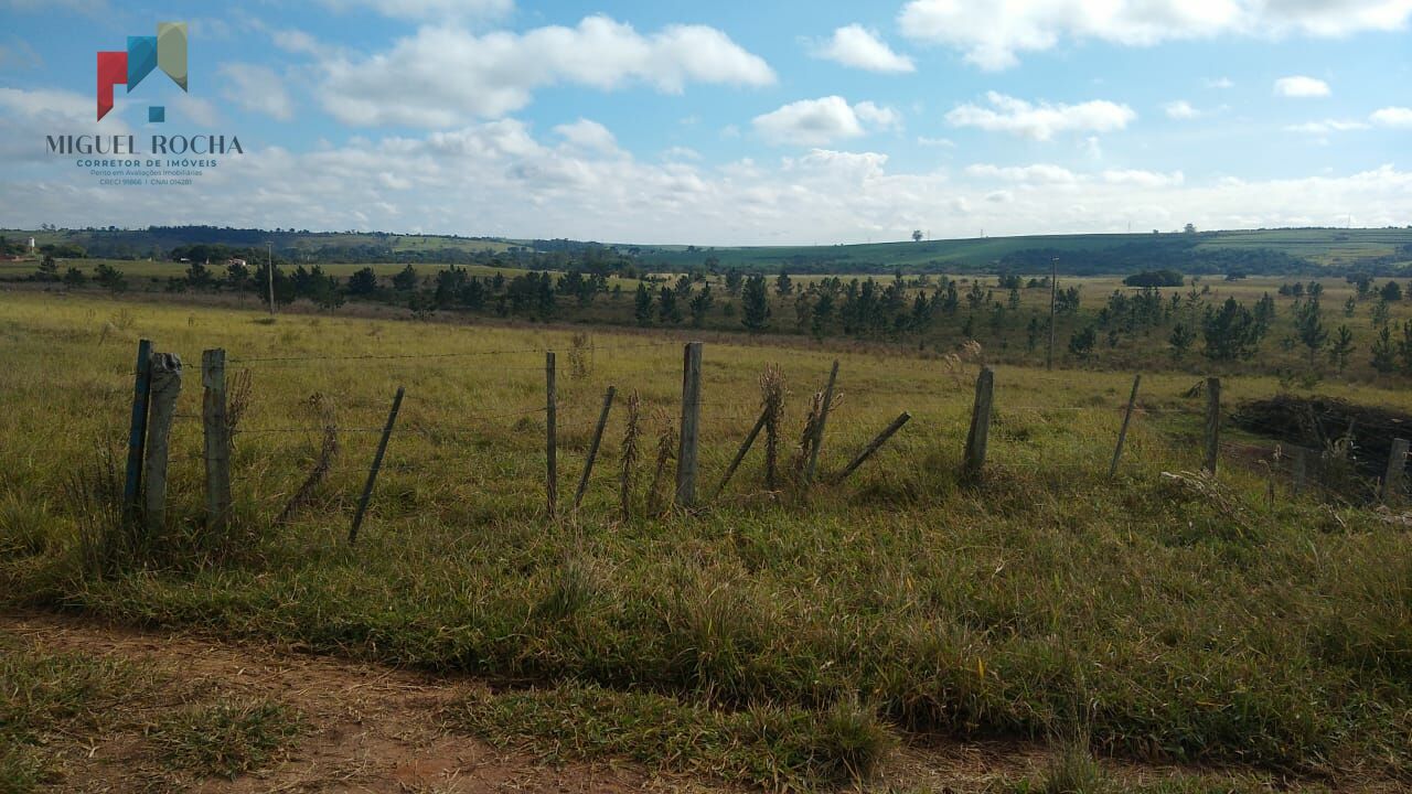 Fazenda à venda com 2 quartos, 1331000m² - Foto 4