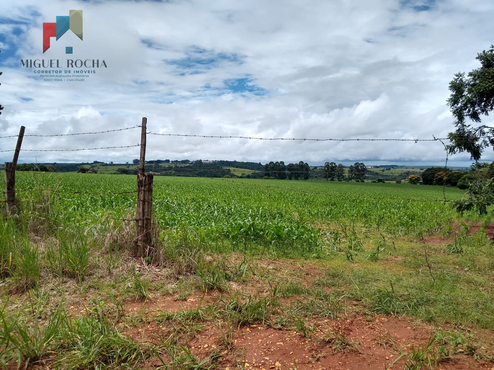 Fazenda à venda com 1 quarto, 484000m² - Foto 9