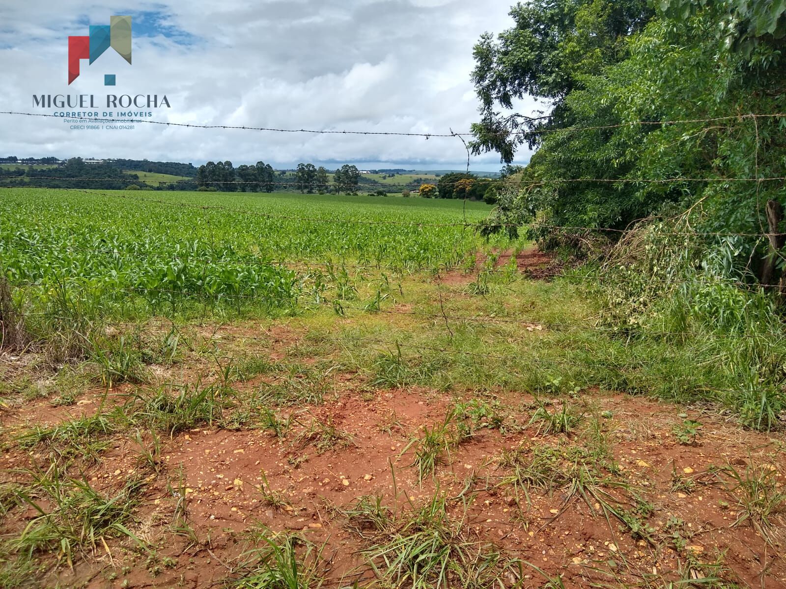 Fazenda à venda com 1 quarto, 484000m² - Foto 7