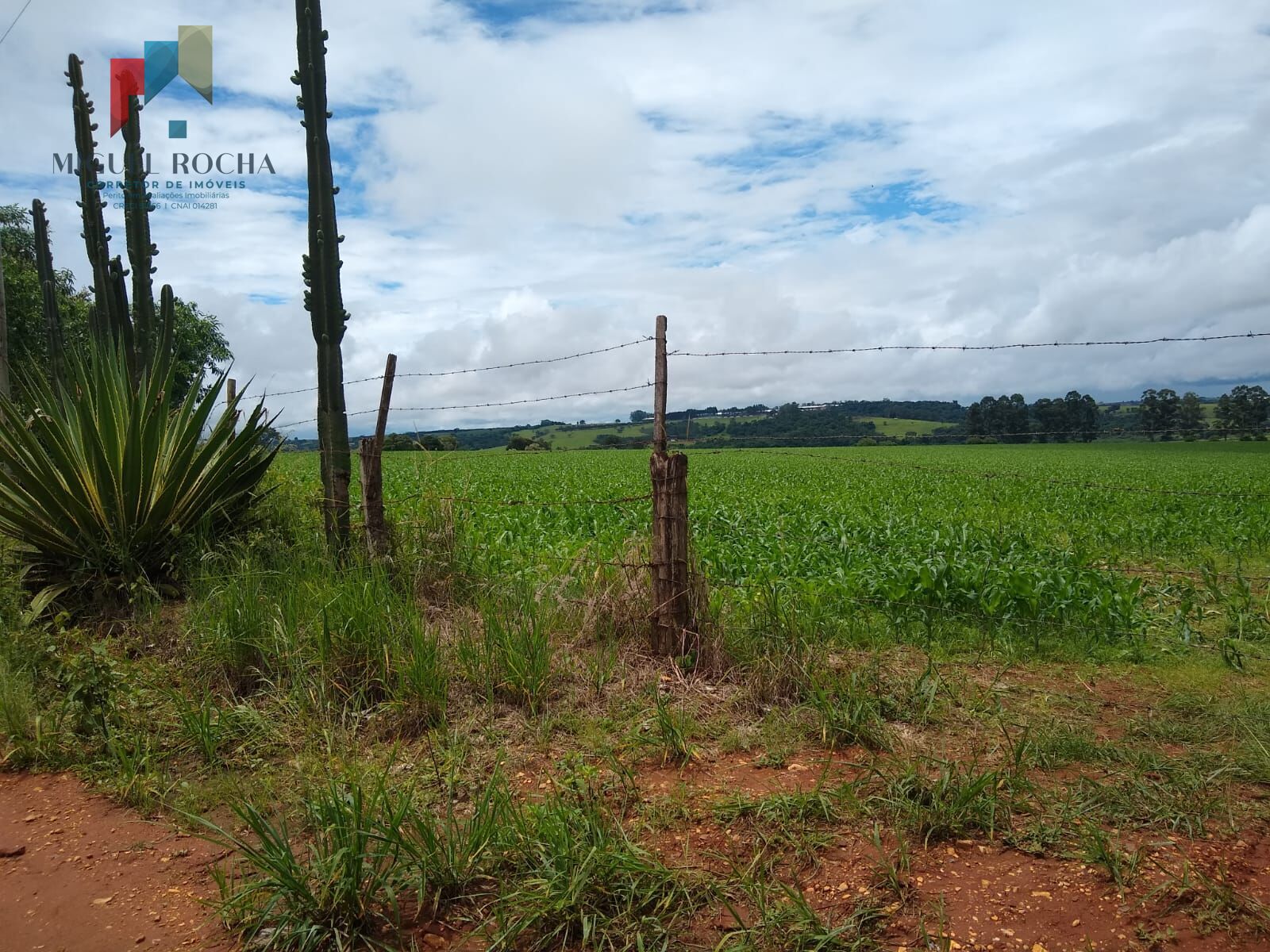 Fazenda à venda com 1 quarto, 484000m² - Foto 5