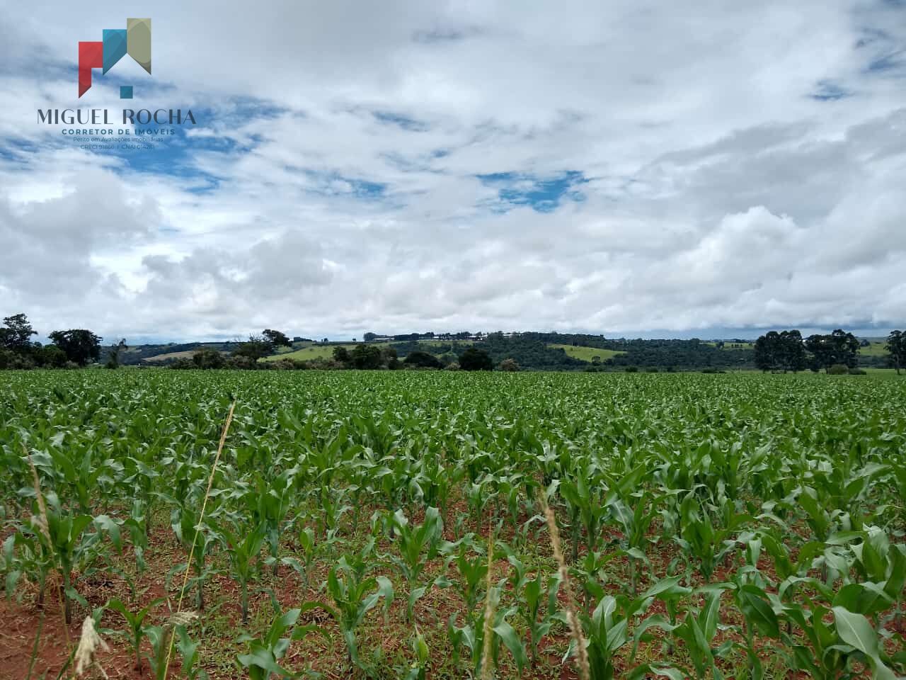 Fazenda à venda com 1 quarto, 484000m² - Foto 3