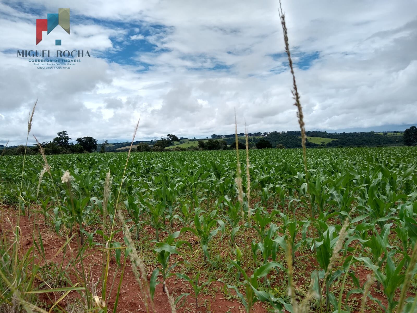 Fazenda à venda com 1 quarto, 484000m² - Foto 2