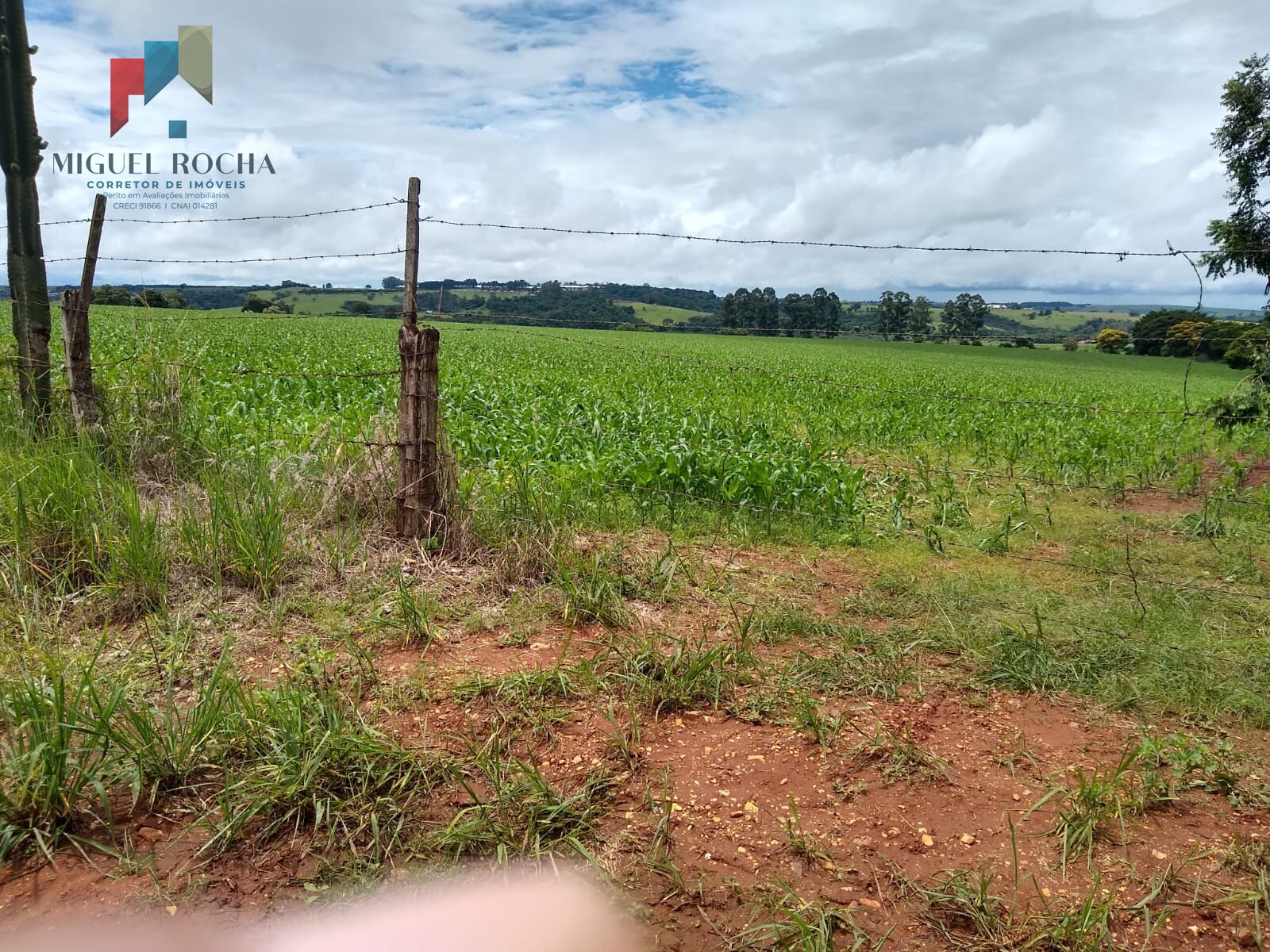 Fazenda à venda com 1 quarto, 484000m² - Foto 6