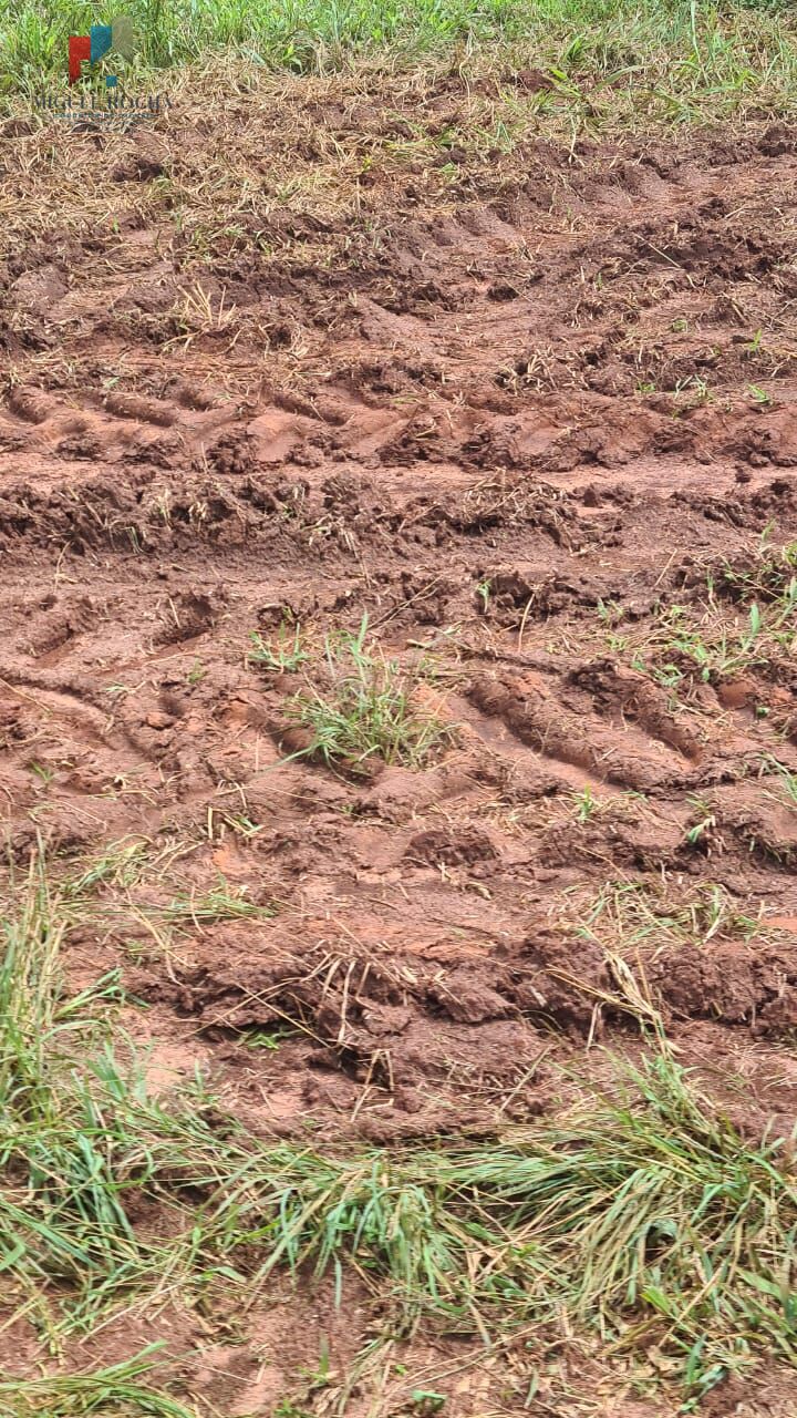 Fazenda à venda com 1 quarto - Foto 9