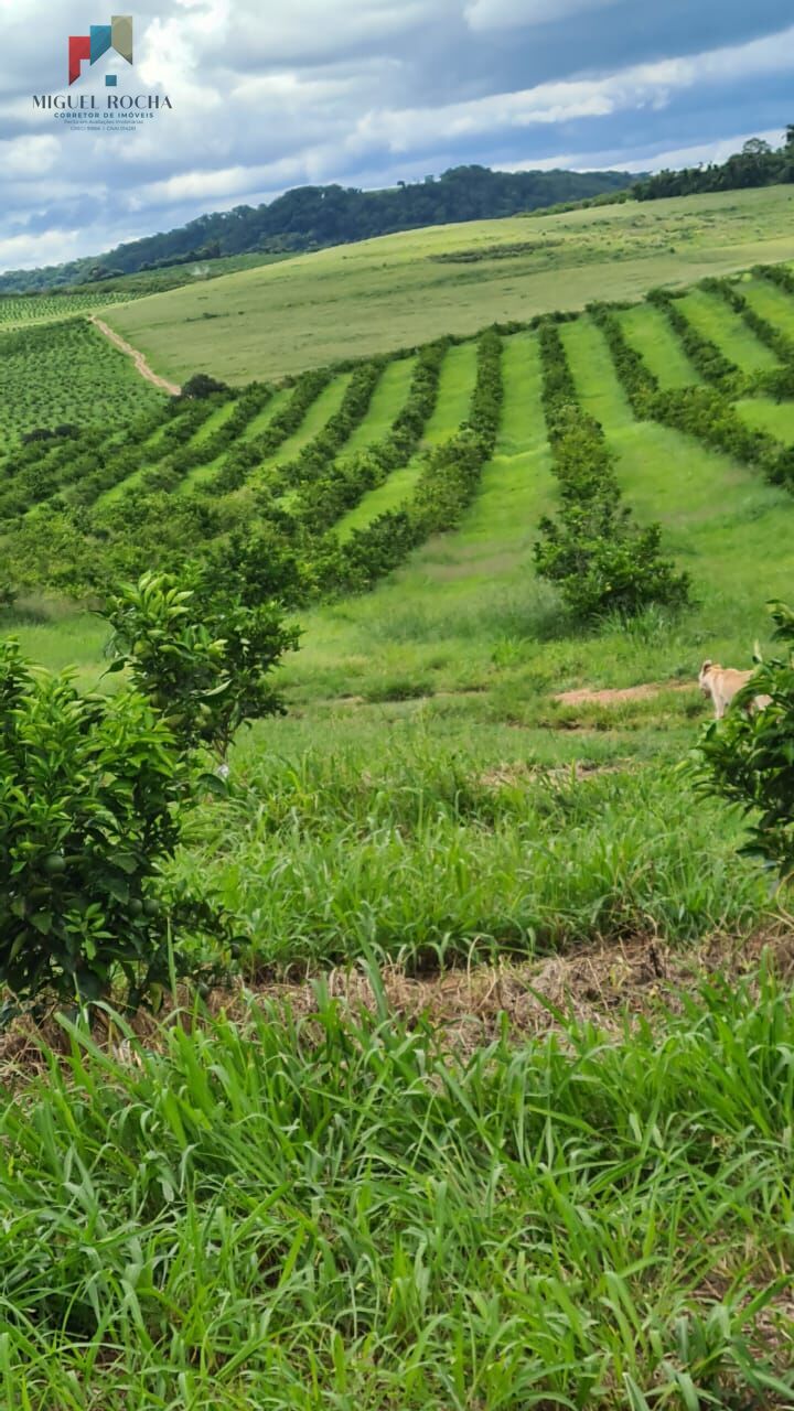 Fazenda à venda com 1 quarto - Foto 7