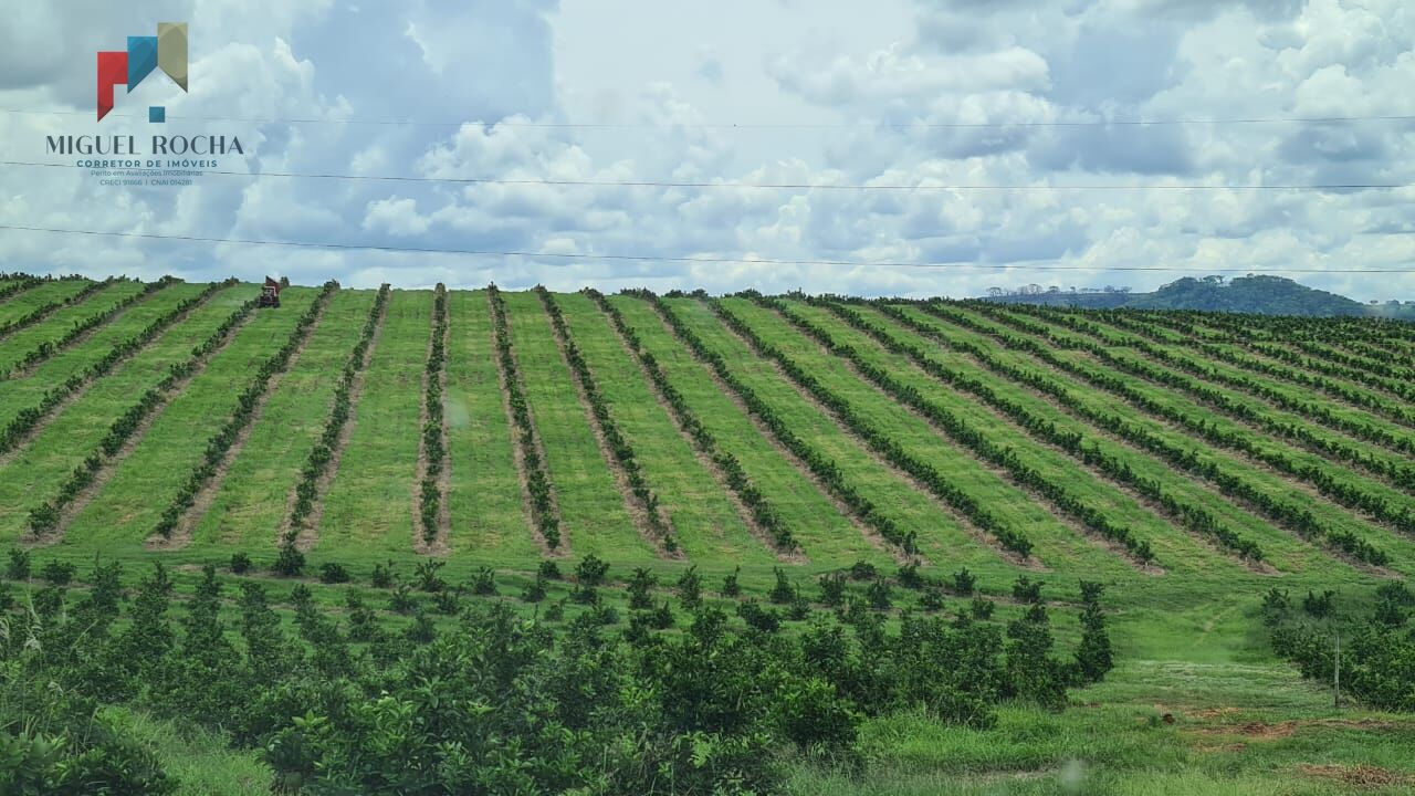 Fazenda à venda com 1 quarto - Foto 5