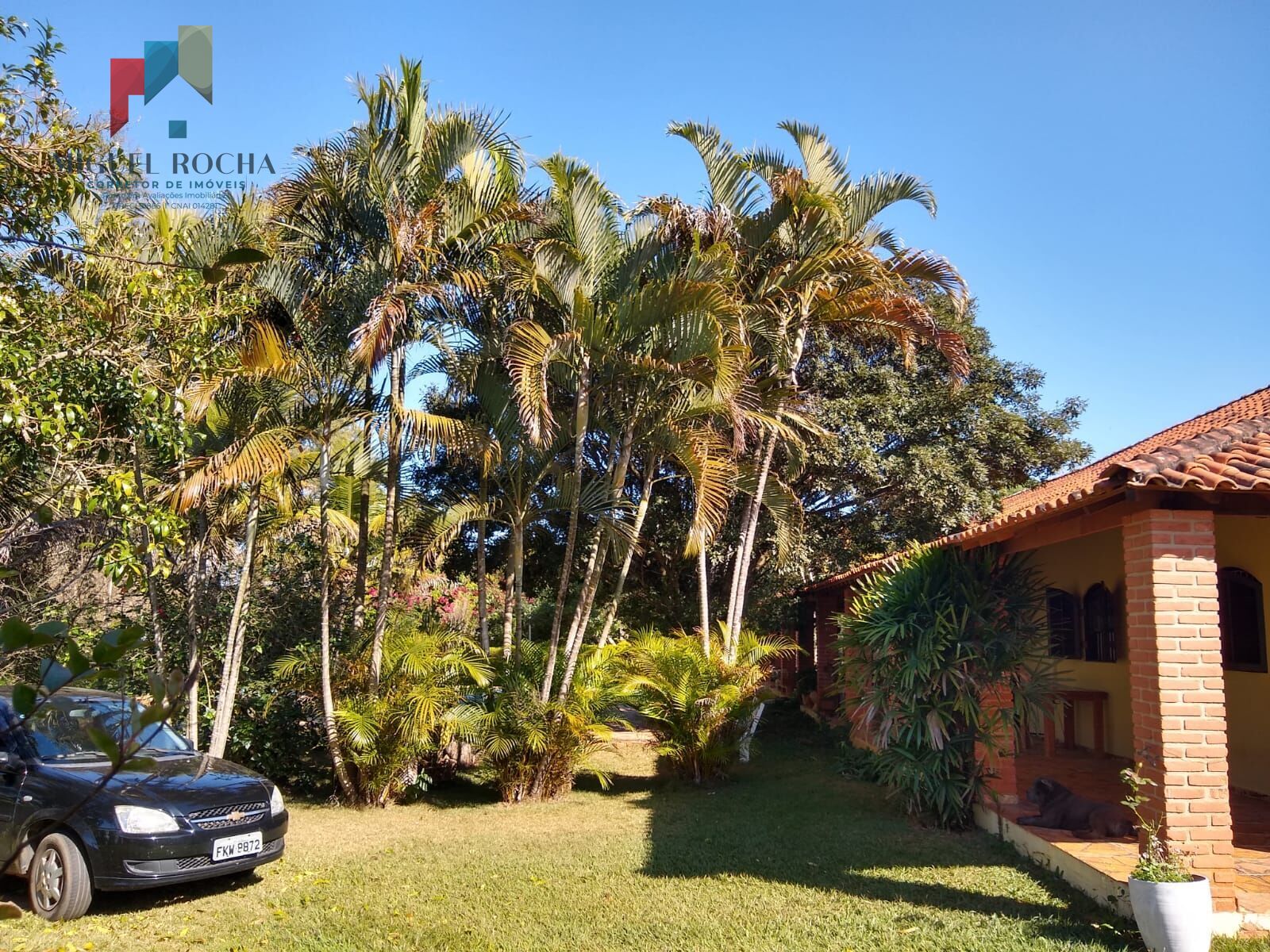 Chácara, 6 quartos, 5000 m² - Foto 37