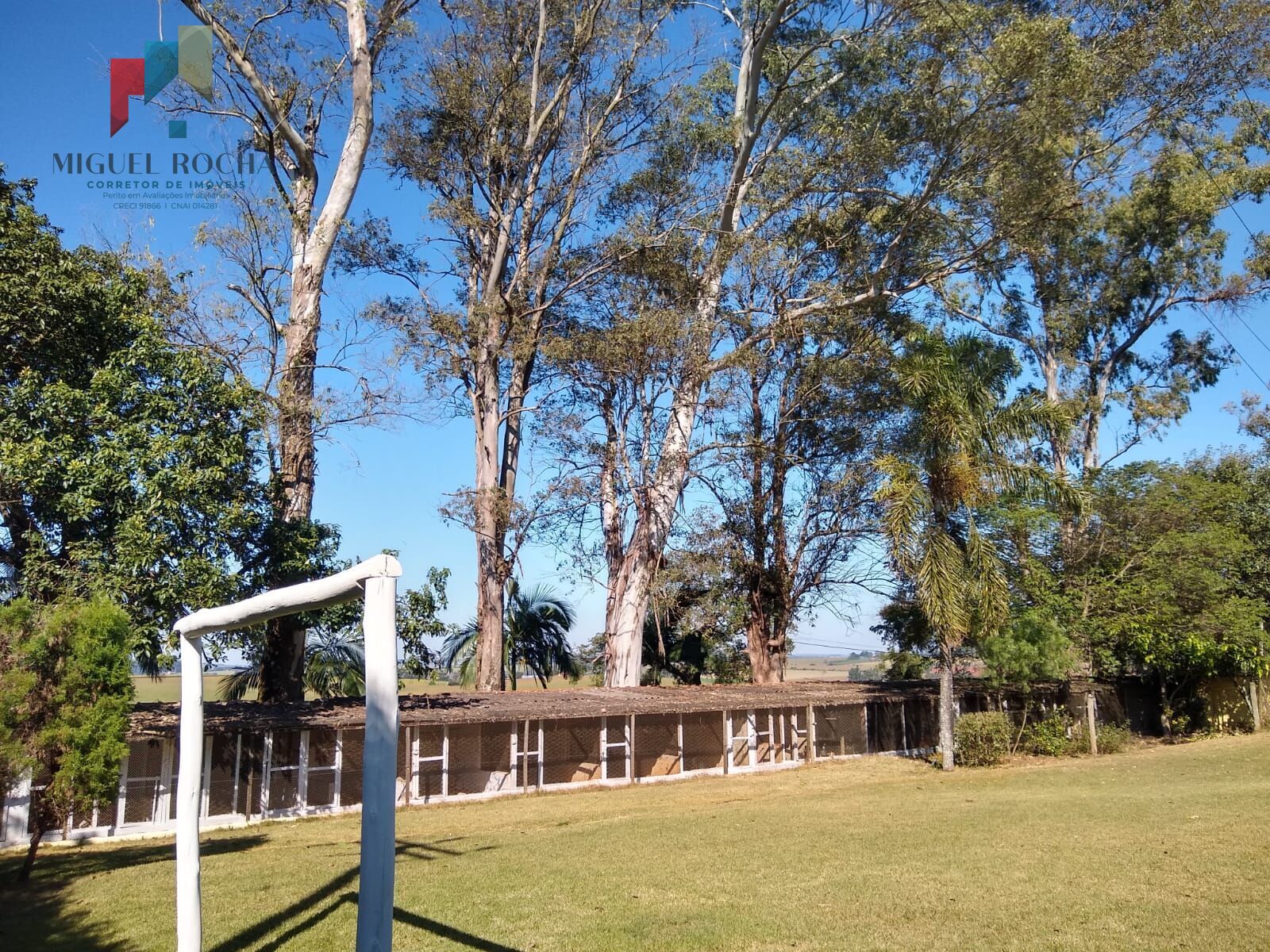 Chácara, 6 quartos, 5000 m² - Foto 30