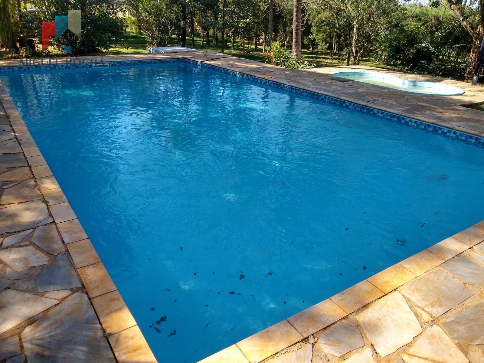 Chácara, 6 quartos, 5000 m² - Foto 6