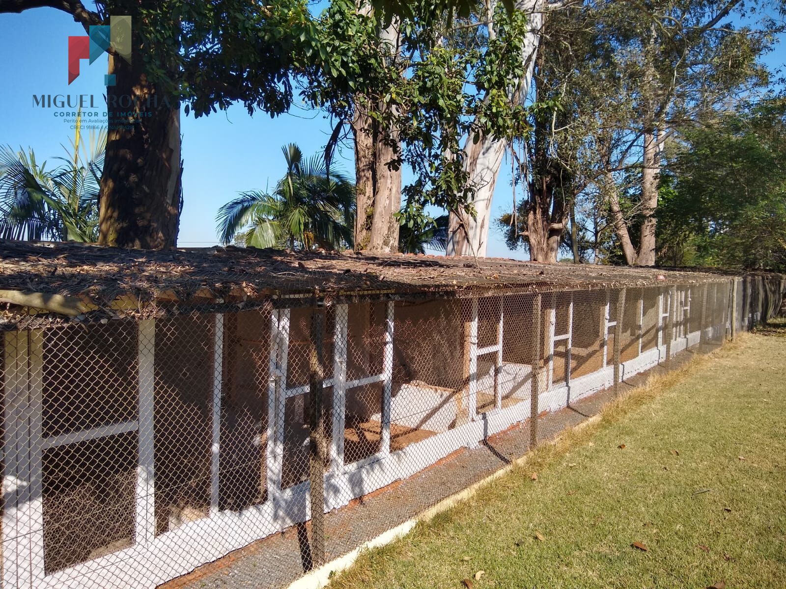 Chácara, 6 quartos, 5000 m² - Foto 31