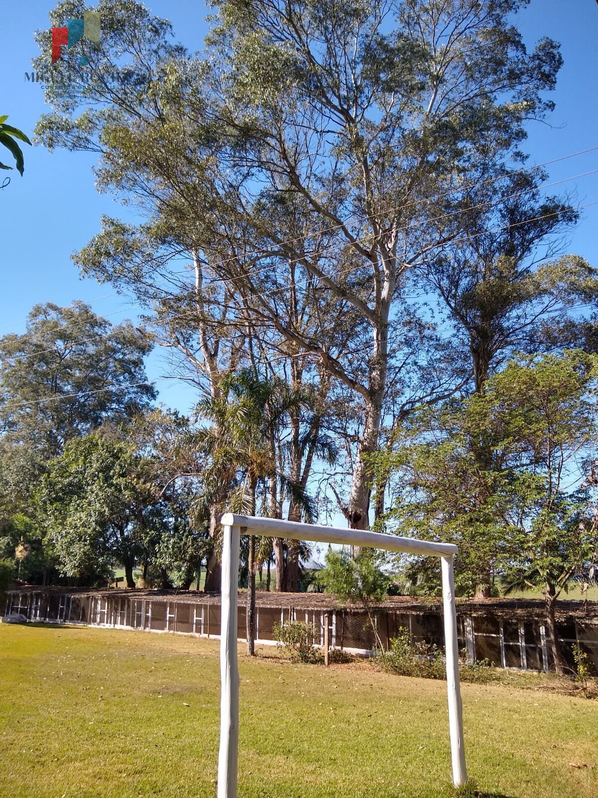 Chácara, 6 quartos, 5000 m² - Foto 38