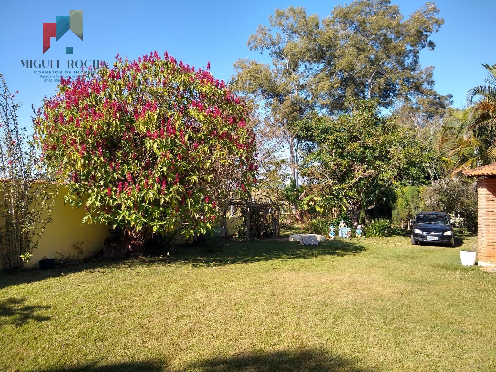 Chácara, 6 quartos, 5000 m² - Foto 33