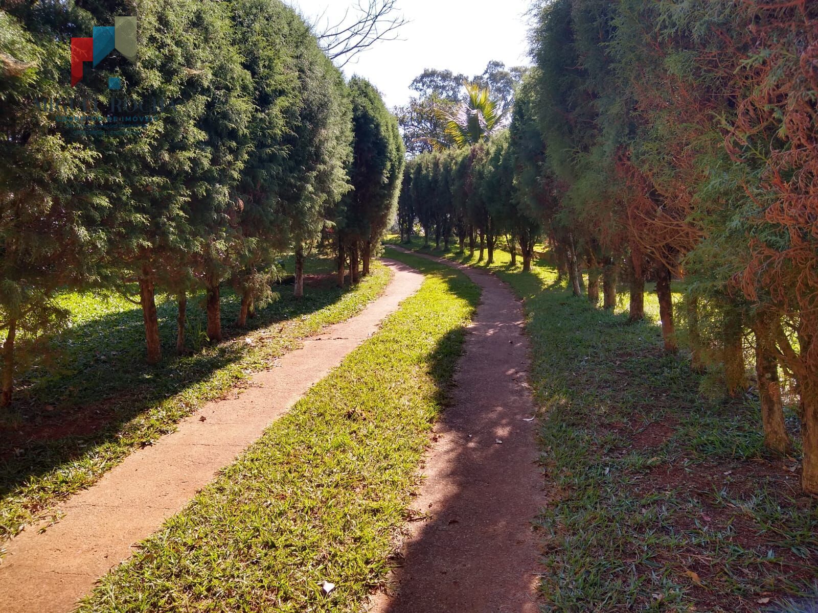 Chácara, 6 quartos, 5000 m² - Foto 43