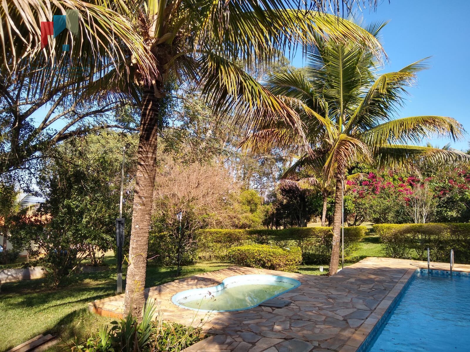 Chácara, 6 quartos, 5000 m² - Foto 9