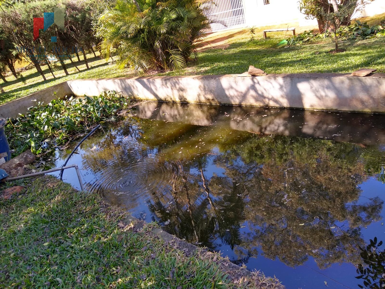 Chácara, 6 quartos, 5000 m² - Foto 27