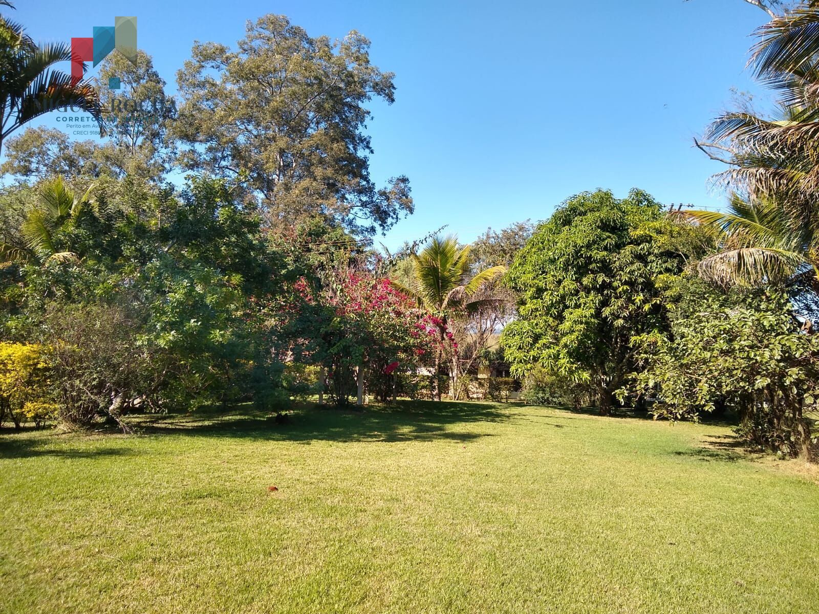 Chácara, 6 quartos, 5000 m² - Foto 36