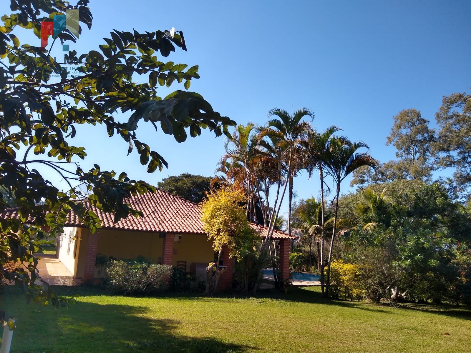 Chácara, 6 quartos, 5000 m² - Foto 8