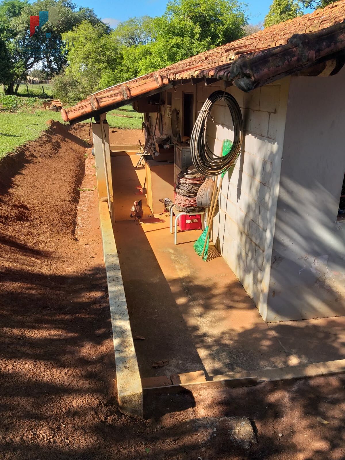 Fazenda à venda com 6 quartos, 24000m² - Foto 4