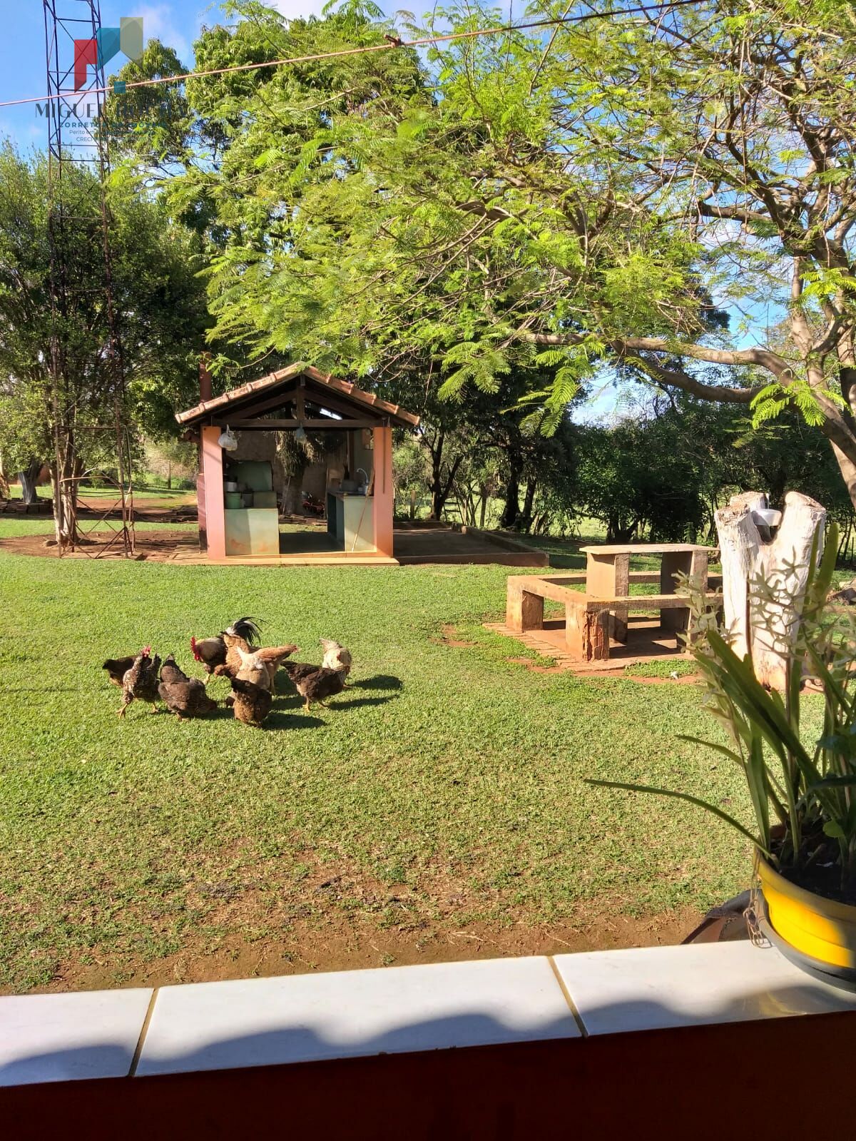 Fazenda à venda com 6 quartos, 24000m² - Foto 5