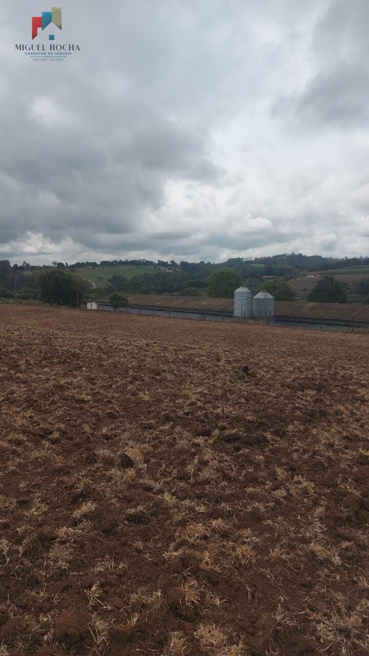 Fazenda à venda com 2 quartos, 169400m² - Foto 7