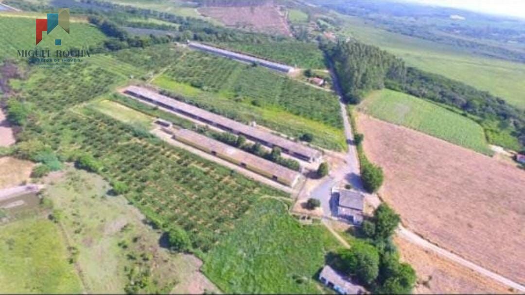 Fazenda à venda com 2 quartos, 169400m² - Foto 5