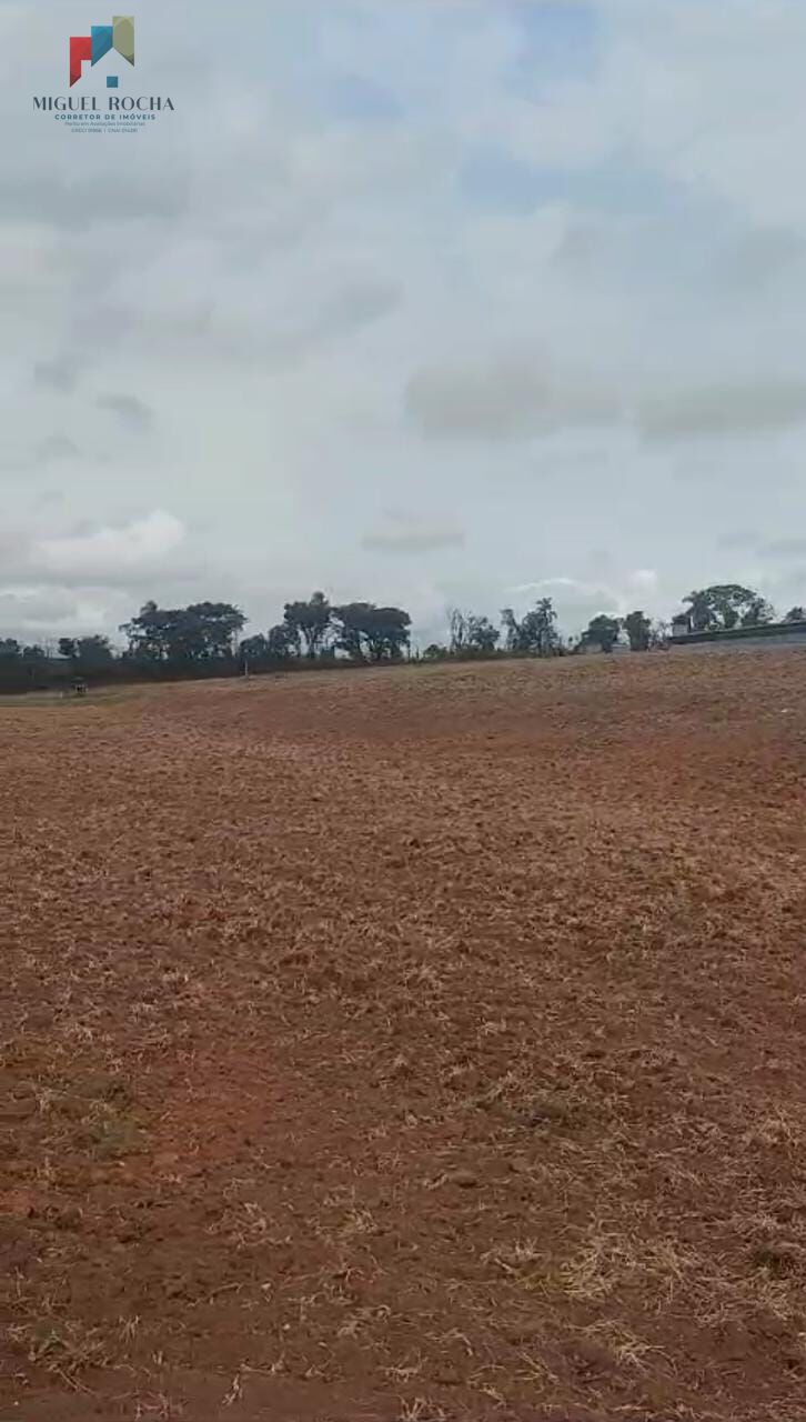 Fazenda à venda com 2 quartos, 169400m² - Foto 2