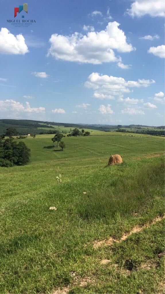 Fazenda à venda com 2 quartos, 169400m² - Foto 6