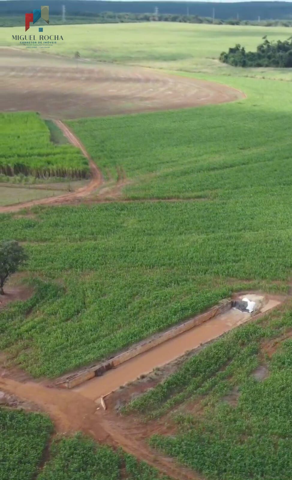 Fazenda à venda com 3 quartos, 968000m² - Foto 19