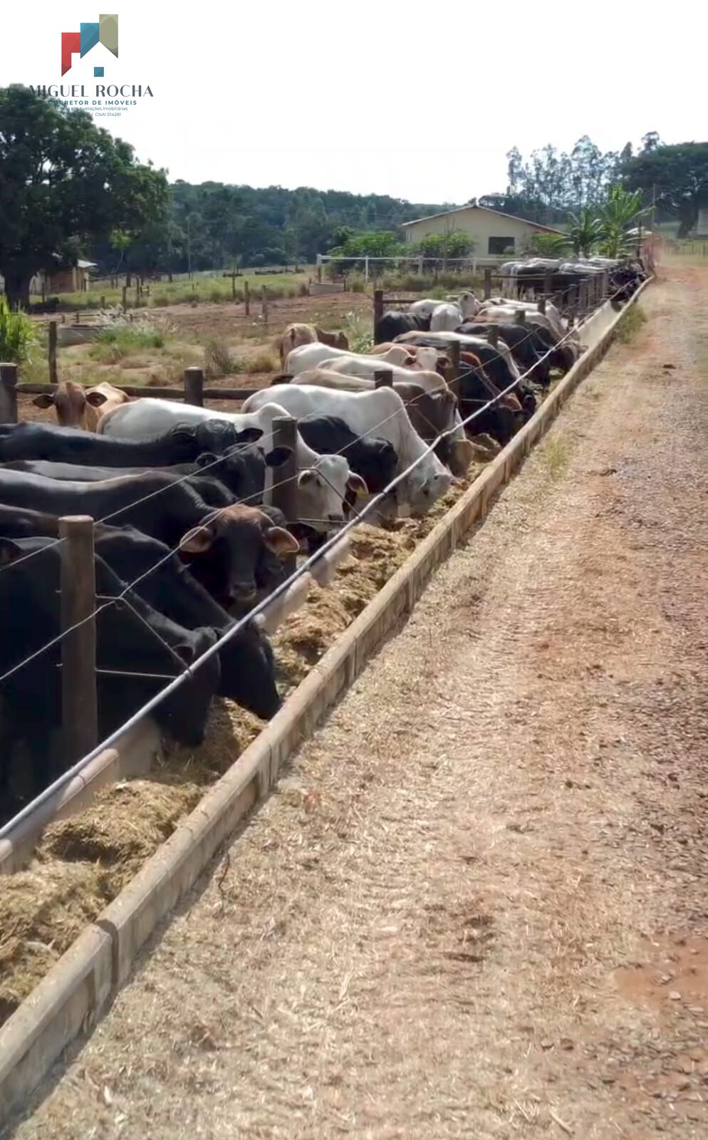 Fazenda à venda com 3 quartos, 968000m² - Foto 28