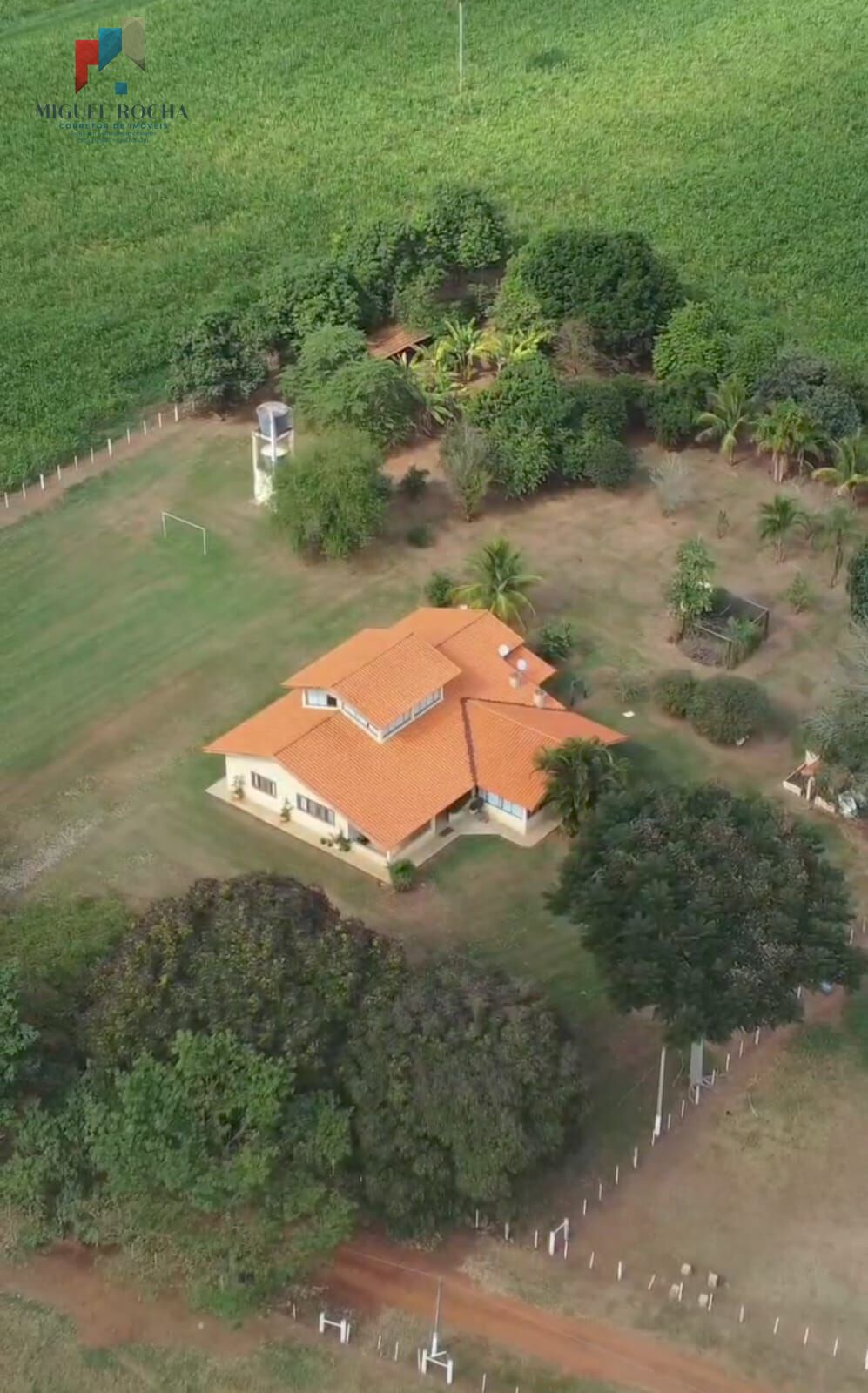 Fazenda à venda com 3 quartos, 968000m² - Foto 4