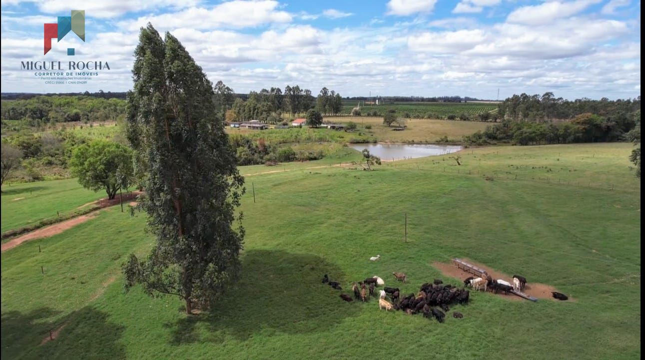 Fazenda à venda com 3 quartos, 968000m² - Foto 11