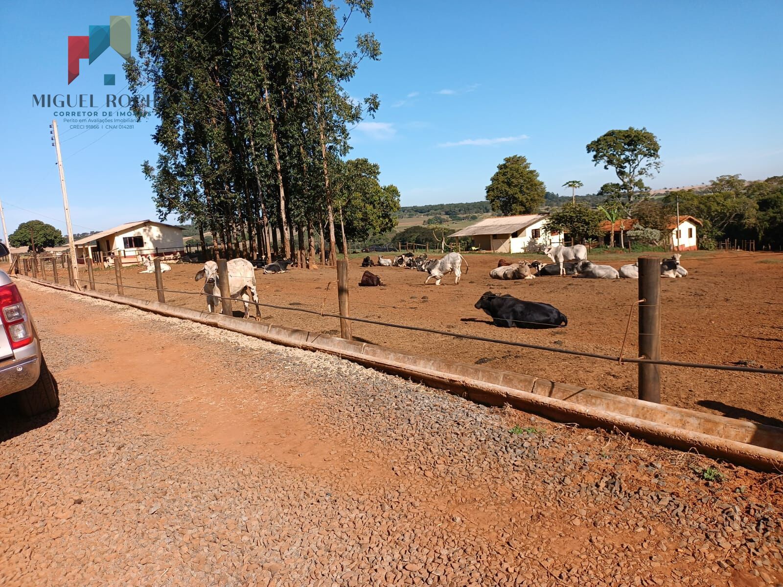 Fazenda à venda com 3 quartos, 968000m² - Foto 21