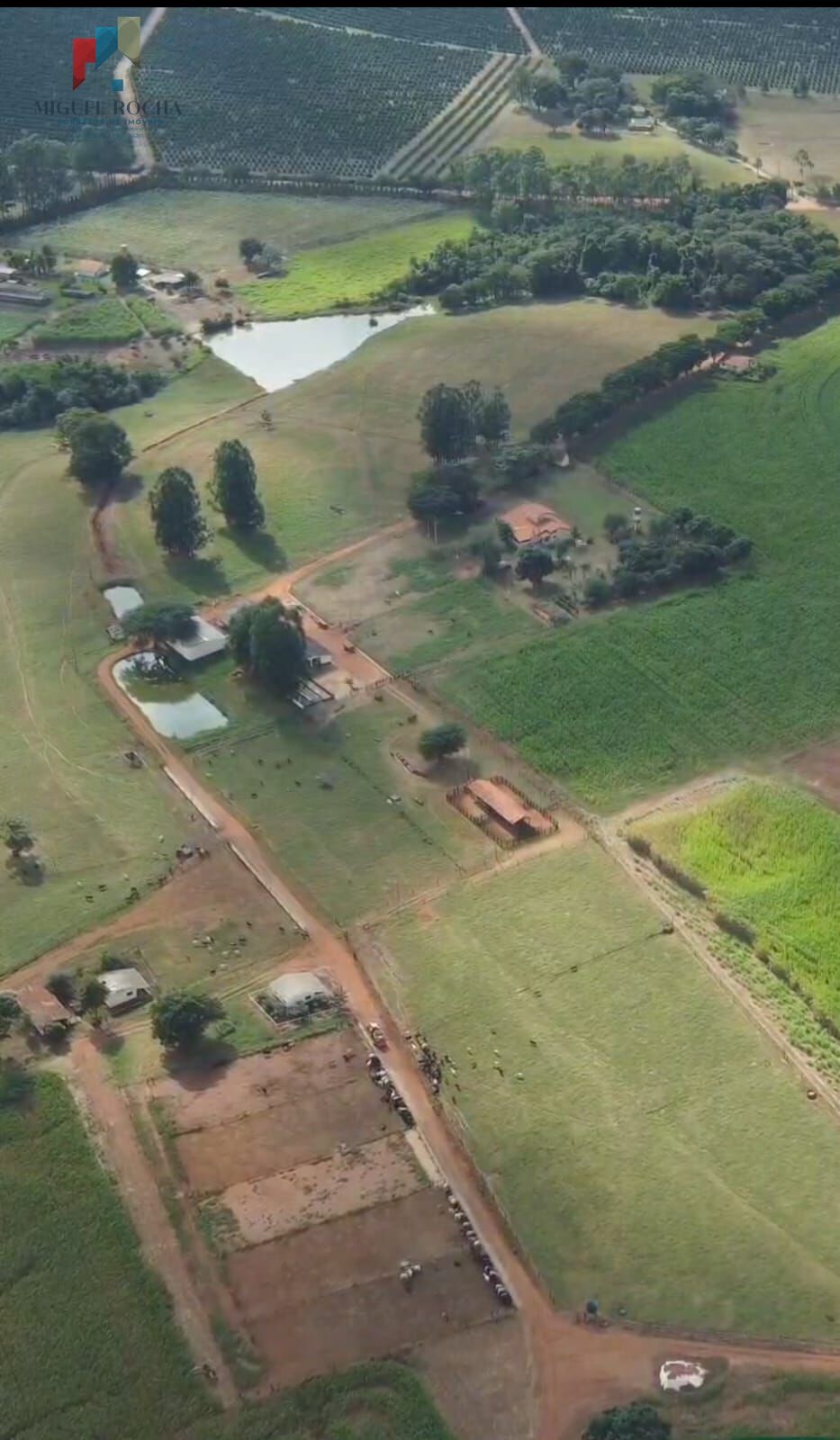 Fazenda à venda com 3 quartos, 968000m² - Foto 5