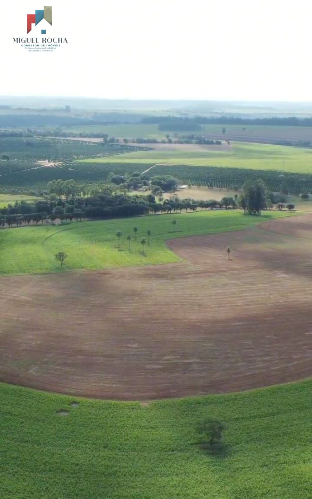 Fazenda à venda com 3 quartos, 968000m² - Foto 16