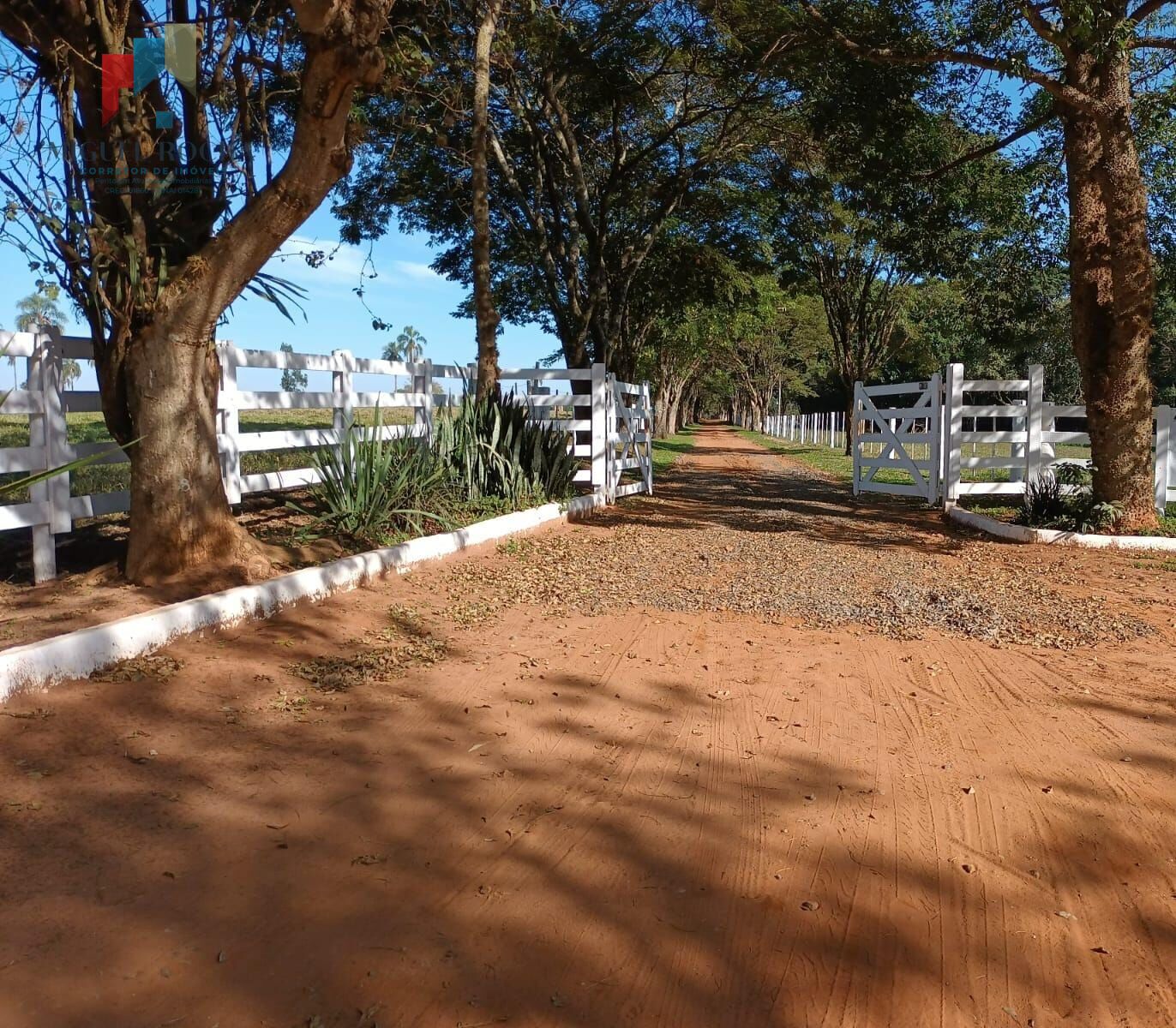 Fazenda à venda com 3 quartos, 968000m² - Foto 6