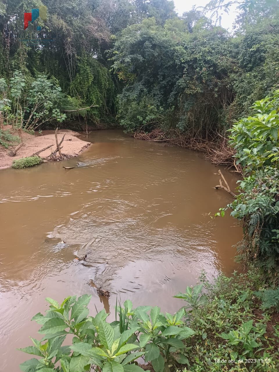 Fazenda à venda com 3 quartos, 968000m² - Foto 24