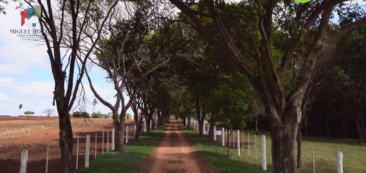 Fazenda à venda com 3 quartos, 968000m² - Foto 8