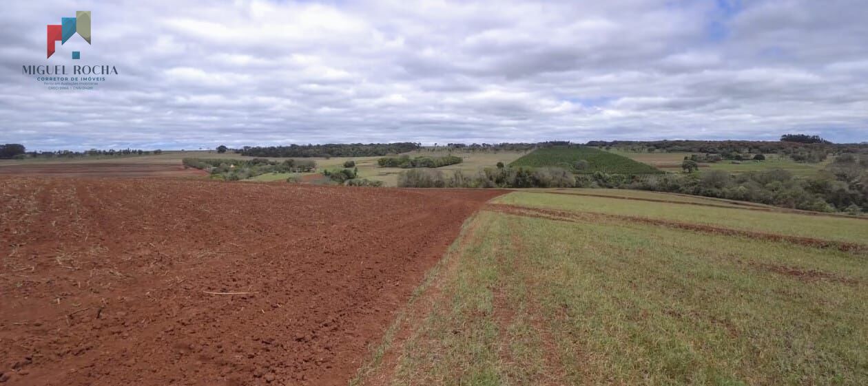 Fazenda à venda com 3 quartos, 968000m² - Foto 17