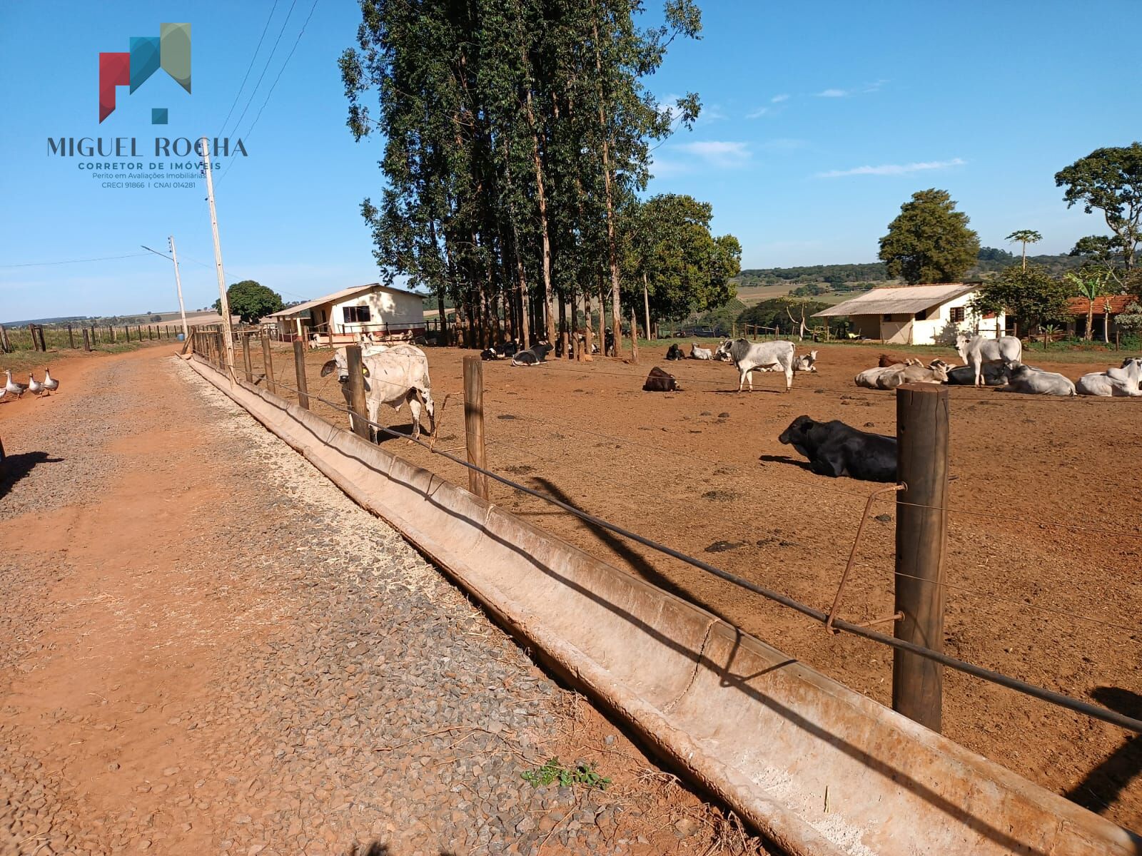 Fazenda à venda com 3 quartos, 968000m² - Foto 13