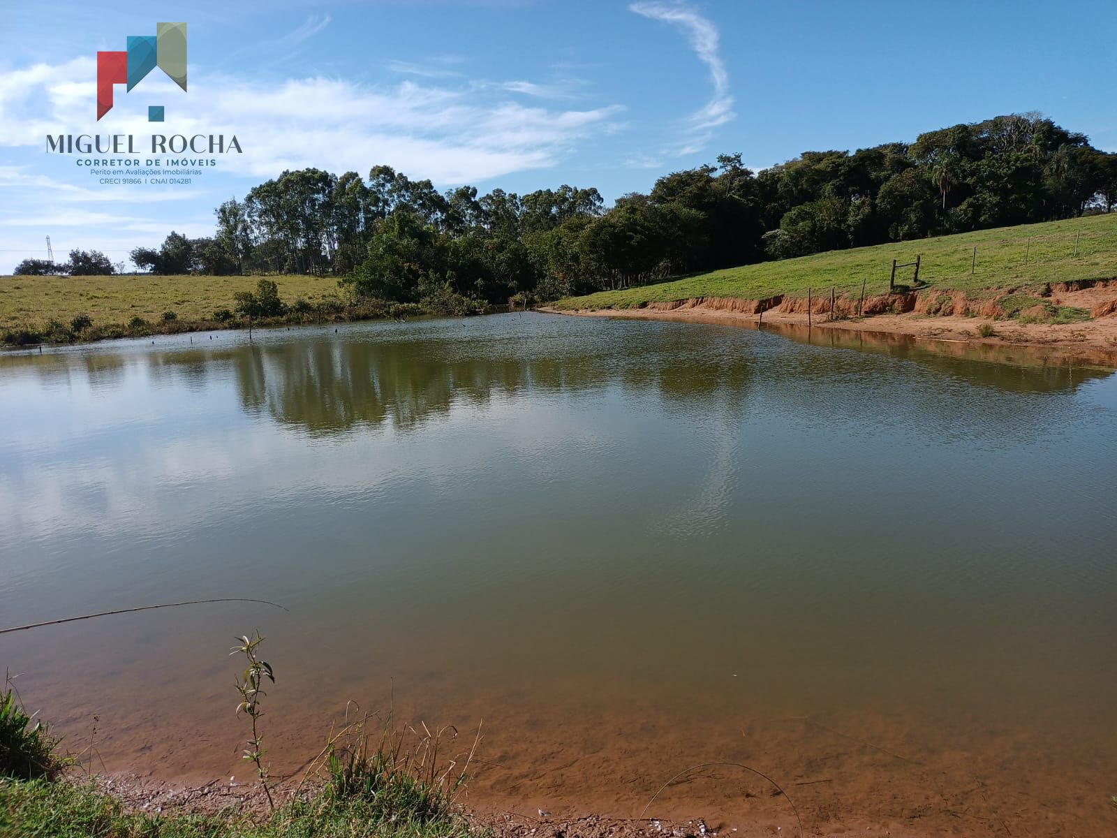 Fazenda à venda com 3 quartos, 968000m² - Foto 14