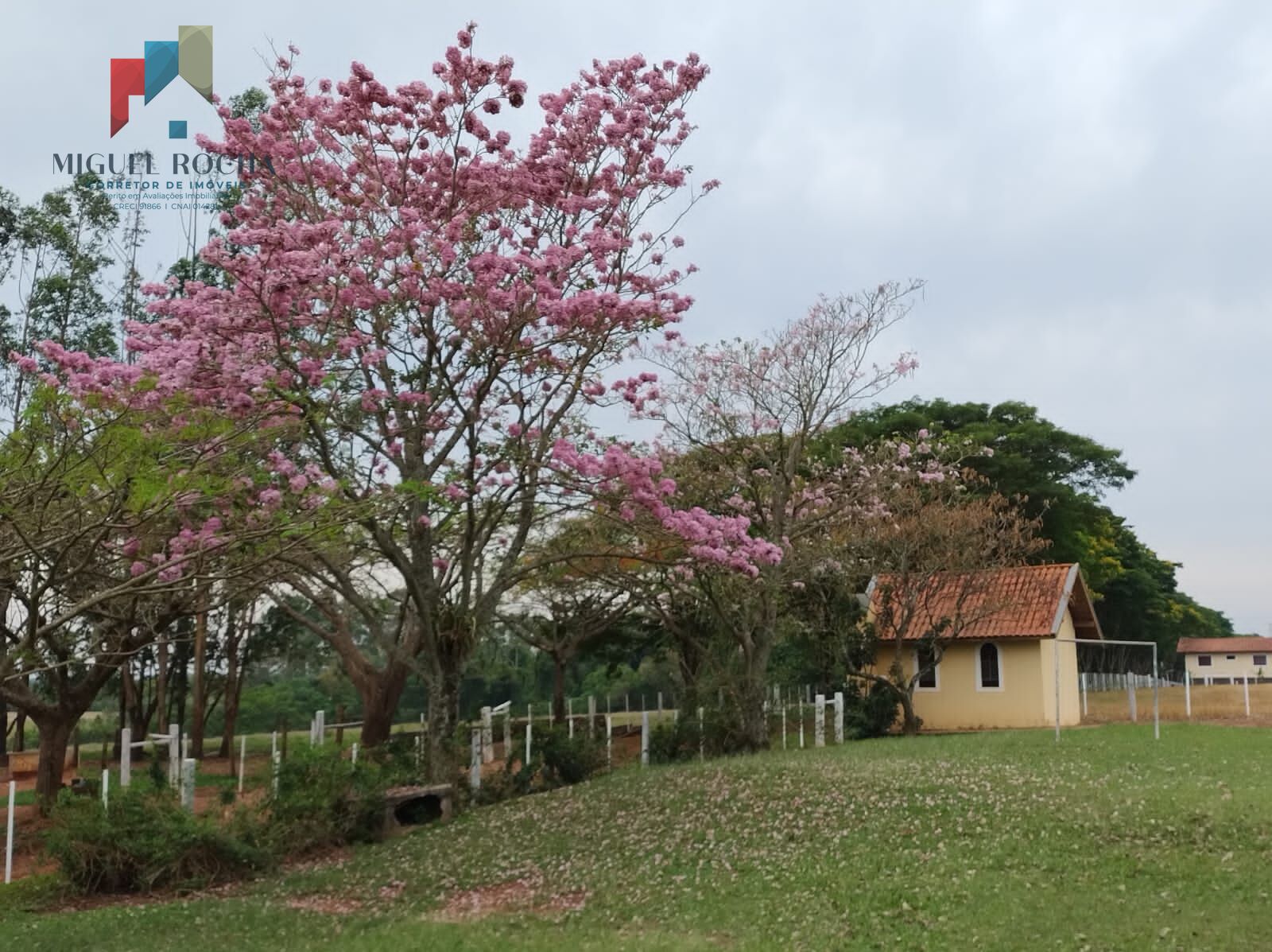 Fazenda à venda com 3 quartos, 968000m² - Foto 20