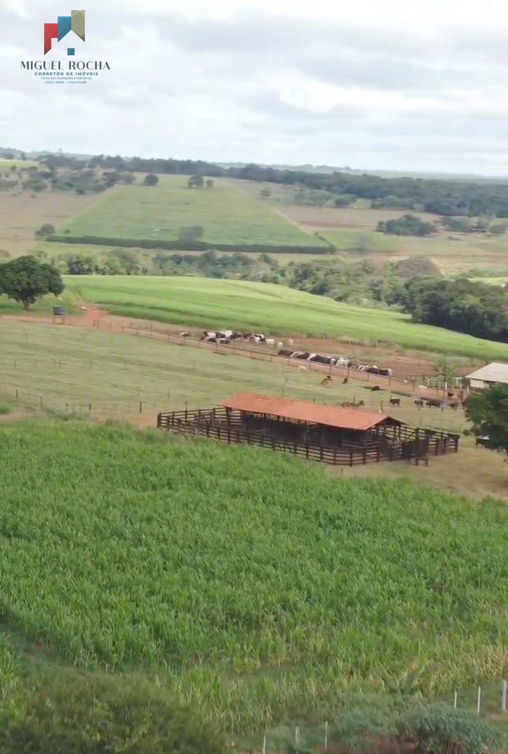 Fazenda à venda com 3 quartos, 968000m² - Foto 25