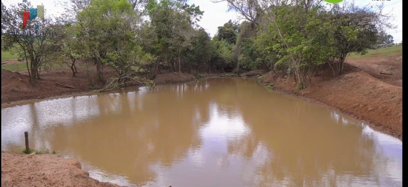 Fazenda à venda com 3 quartos, 968000m² - Foto 10