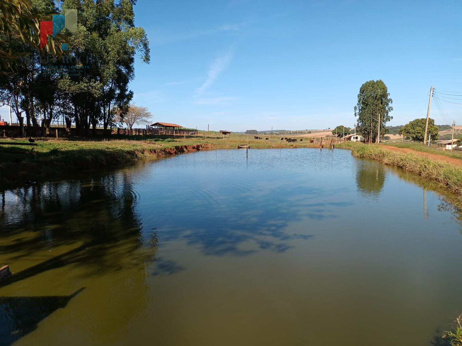 Fazenda à venda com 3 quartos, 968000m² - Foto 15