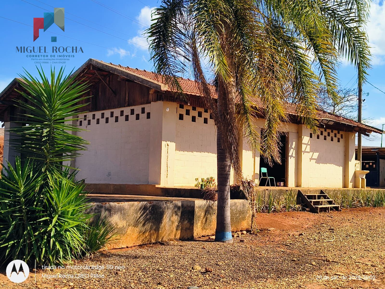 Fazenda à venda com 2 quartos - Foto 10